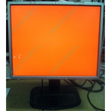 Монитор 19" TFT HP 1955 (DVI в Невинномысске, USB-хаб) "квадратный" (Невинномысск)
