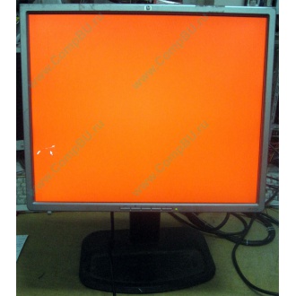 Монитор 19" TFT HP 1955 (DVI в Невинномысске, USB-хаб) "квадратный" (Невинномысск)