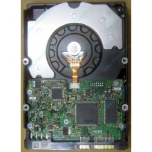 HDD Sun 500G 500Gb в Невинномысске, FRU 540-7889-01 в Невинномысске, BASE 390-0383-04 в Невинномысске, AssyID 0069FMT-1010 в Невинномысске, HUA7250SBSUN500G (Невинномысск)