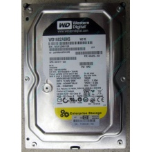 Жесткий диск 160Gb WD WD1602ABKS SATA (Невинномысск)
