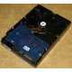 Электроника HDD 500Gb Hitachi HDS721050DLE630 (Невинномысск)
