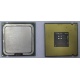 Процессор Intel Celeron D 336 (2.8GHz /256kb /533MHz) SL98W s.775 (Невинномысск)