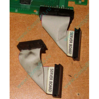 6017B0045701 Шлейф 24 pin для Intel C74974-401 T0043401-B01 корпуса SR2400 (Невинномысск)