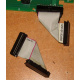 6017B0045701 Шлейф 24pin для Intel C74974-401 T0043401-B01 корпуса SR2400 (Невинномысск)