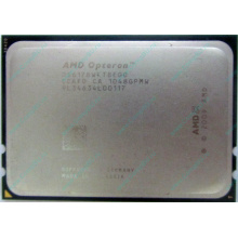 AMD Opteron 6128 OS6128WKT8EGO (Невинномысск)
