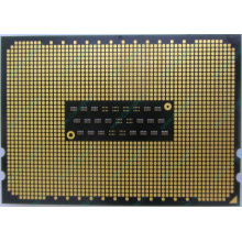 AMD Opteron 6128 OS6128WKT8EGO (Невинномысск)