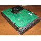 Жесткий диск 300Gb 15k Seagate Cheetach ST3300656SS 15K.6 Dell 9CH066-050 6G SAS (Невинномысск)